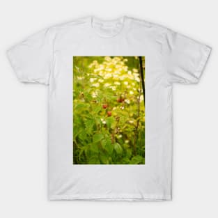 blb red raspberry - 2 T-Shirt